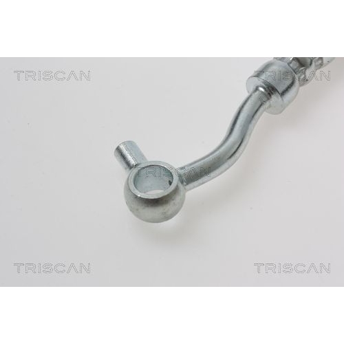 TRISCAN Bremsschlauch 8150 18229