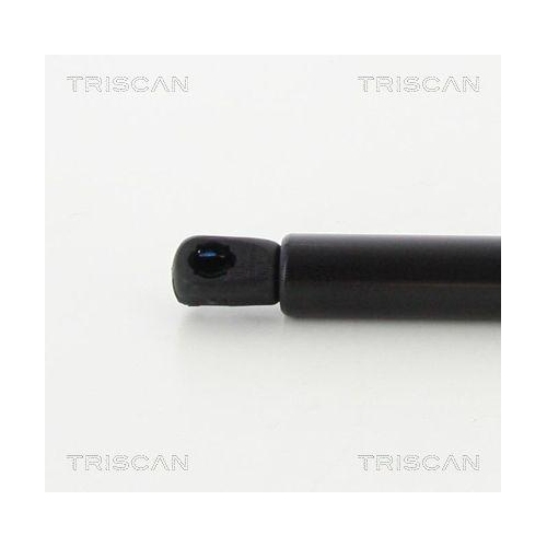TRISCAN Gasfeder, Koffer-/Laderaum 8710 14253