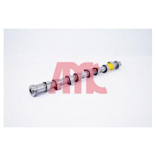AMC Nockenwelle 647263