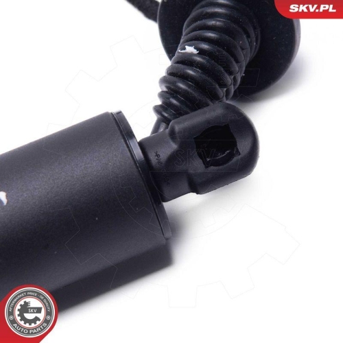 ESEN SKV Elektromotor, Heckklappe 52SKV951