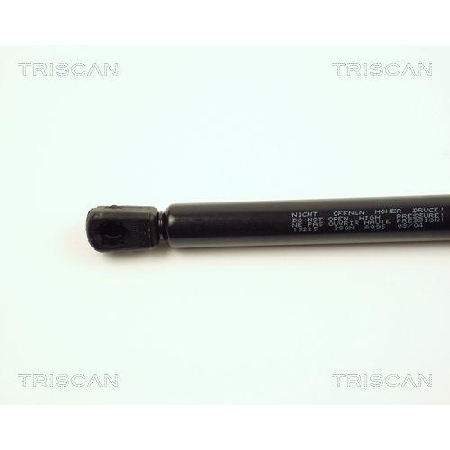 TRISCAN Gasfeder, Koffer-/Laderaum 8710 15225