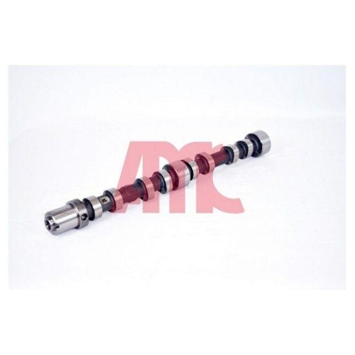 AMC Nockenwelle 647274