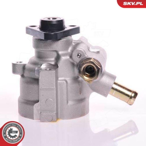 ESEN SKV Hydraulikpumpe, Lenkung 10SKV141