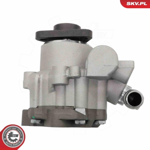 ESEN SKV Hydraulikpumpe, Lenkung 10SKV329