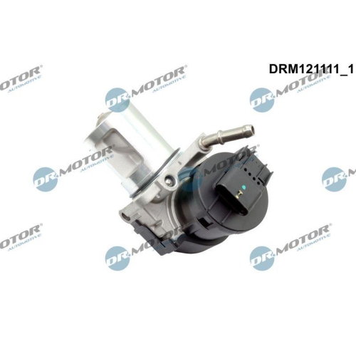 Dr.Motor Automotive AGR-Ventil DRM121111