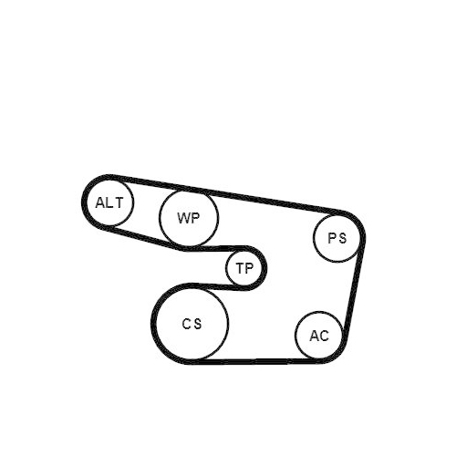 CONTINENTAL CTAM Keilrippenriemensatz 6PK1873K3