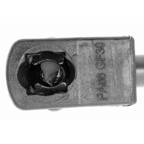 VAICO Gasfeder, Motorhaube Green Mobility Parts V10-4702