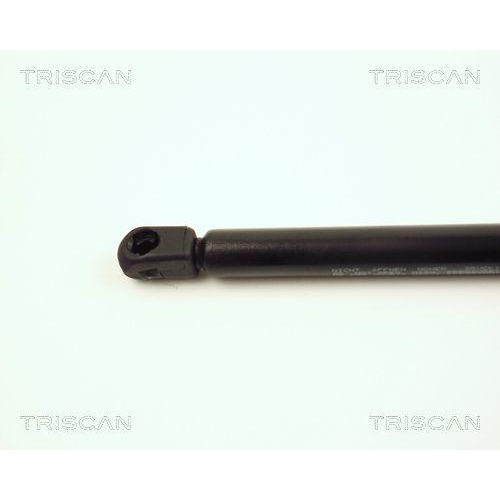 TRISCAN Gasfeder, Koffer-/Laderaum 8710 16236