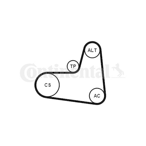 CONTINENTAL CTAM Keilrippenriemensatz 6PK995K1