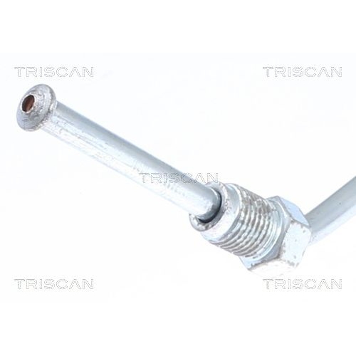 TRISCAN Bremsschlauch 8150 25265