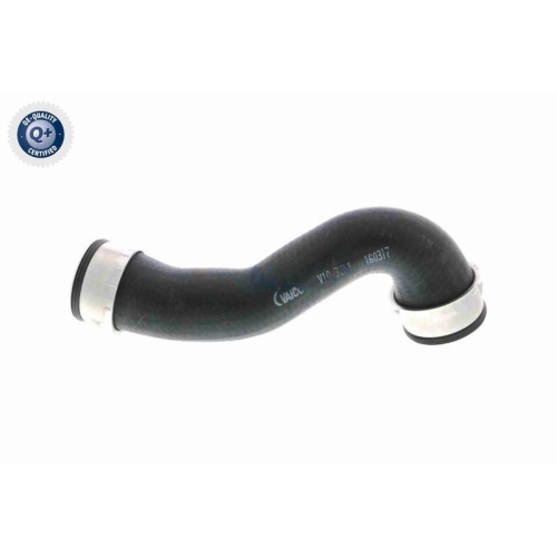 VAICO Ladeluftschlauch Q+, Erstausrüsterqualität V10-3761
