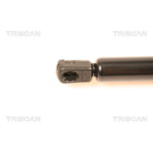 TRISCAN Gasfeder, Koffer-/Laderaum 8710 16237