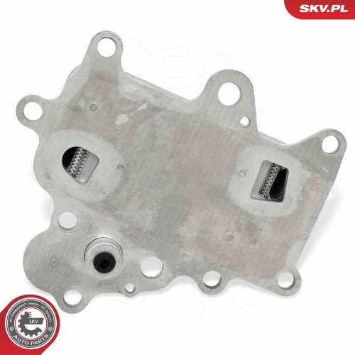 ESEN SKV &Ouml;lk&uuml;hler, Motor&ouml;l 31SKV350