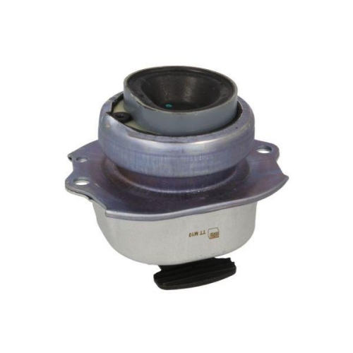 REINHOCH Lagerung, Motor RH11-3094