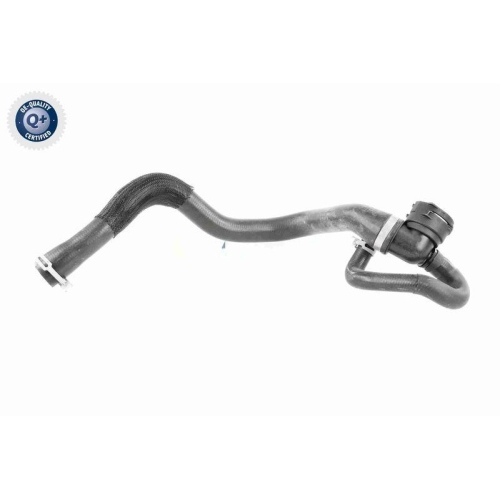 VAICO K&uuml;hlerschlauch Q+, Erstausr&uuml;sterqualit&auml;t V25-1164