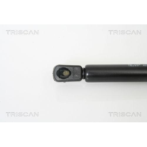 TRISCAN Gasfeder, Koffer-/Laderaum 8710 16240