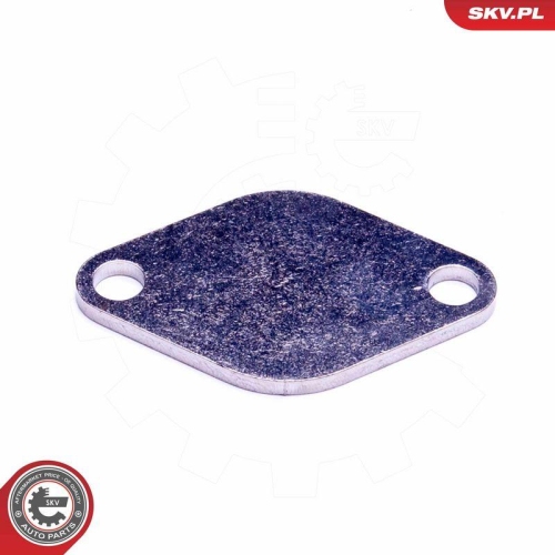 ESEN SKV Reparatursatz, AGR-Ventil 14SKV541