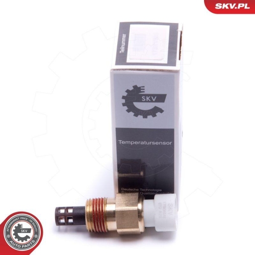 ESEN SKV Sensor, Ansauglufttemperatur 17SKV678