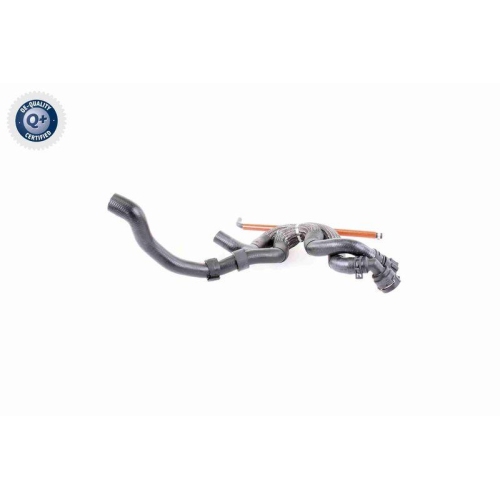 VAICO Kühlerschlauch Q+, Erstausrüsterqualität V10-3910