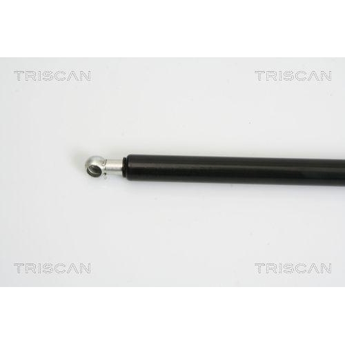 TRISCAN Gasfeder, Koffer-/Laderaum 8710 16246