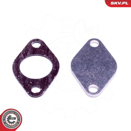ESEN SKV Reparatursatz, AGR-Ventil 14SKV542