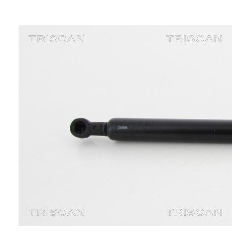 TRISCAN Gasfeder, Koffer-/Laderaum 8710 17219