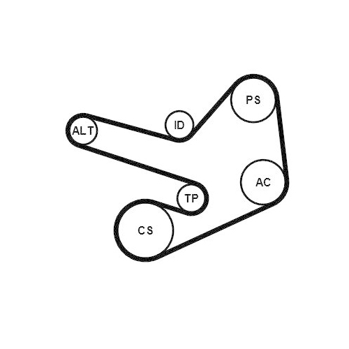 CONTINENTAL CTAM Keilrippenriemensatz 6PK1847 EXTRA K1