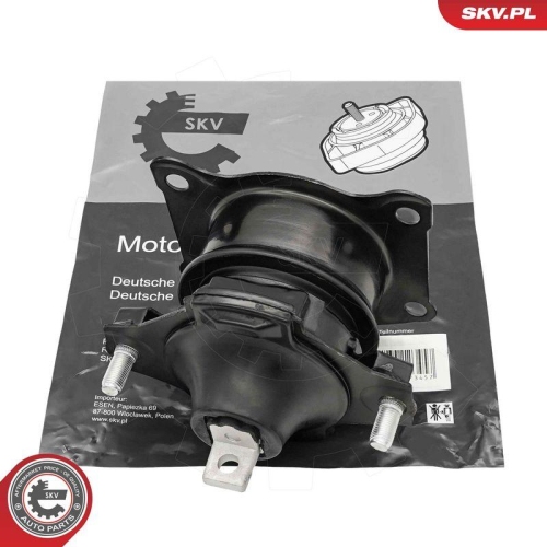 ESEN SKV Lagerung, Motor 75SKV319