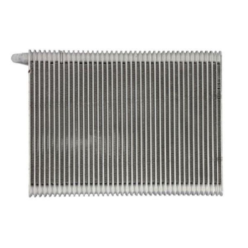 THERMOTEC Verdampfer, Klimaanlage KTT150046