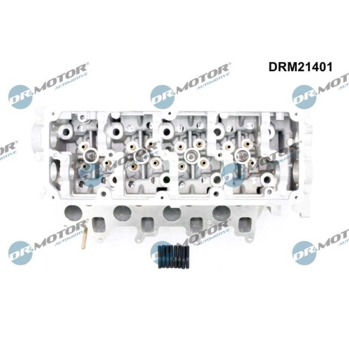 Dr.Motor Automotive Zylinderkopf DRM21401