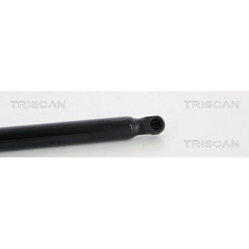 TRISCAN Gasfeder, Koffer-/Laderaum 8710 18226