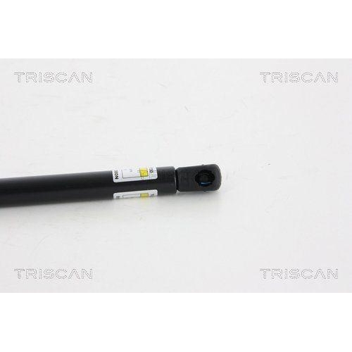 TRISCAN Gasfeder, Koffer-/Laderaum 8710 18228