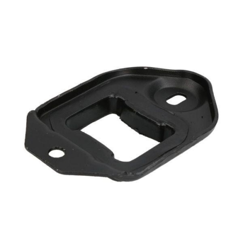 REINHOCH Lagerung, Motor RH12-0040