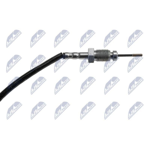NTY Sensor, Abgastemperatur EGT-MS-000