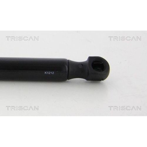 TRISCAN Gasfeder, Heckscheibe 8710 20205