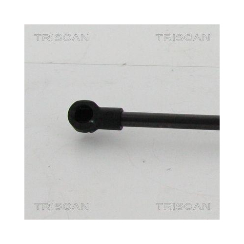 TRISCAN Gasfeder, Koffer-/Laderaum 8710 21210