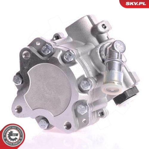 ESEN SKV Hydraulikpumpe, Lenkung 10SKV167
