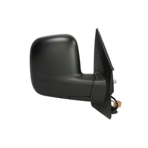 BLIC Außenspiegel 5402-04-9221985P