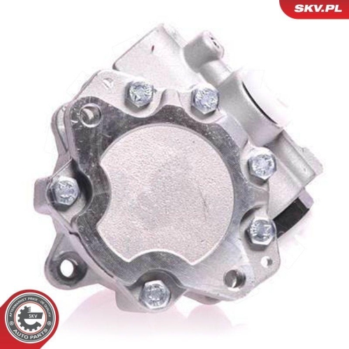 ESEN SKV Hydraulikpumpe, Lenkung 10SKV121