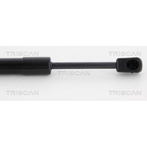 TRISCAN Gasfeder, Koffer-/Laderaum 8710 23223