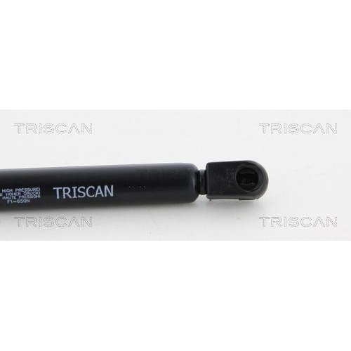 TRISCAN Gasfeder, Koffer-/Laderaum 8710 23229