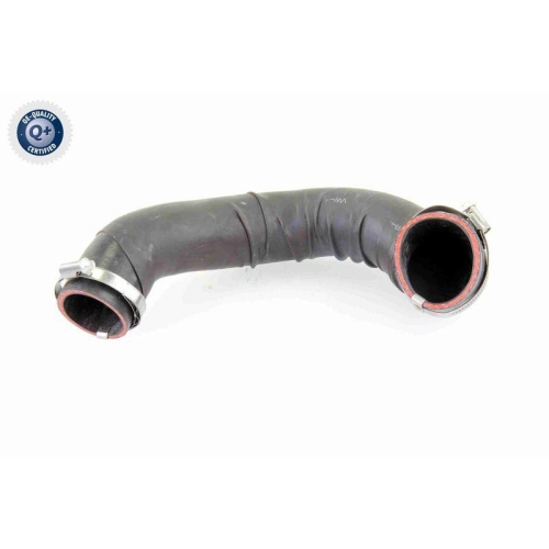 VAICO Ladeluftschlauch Q+, Erstausrüsterqualität V10-4393