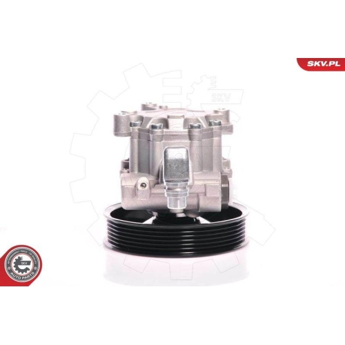 ESEN SKV Hydraulikpumpe, Lenkung 10SKV140