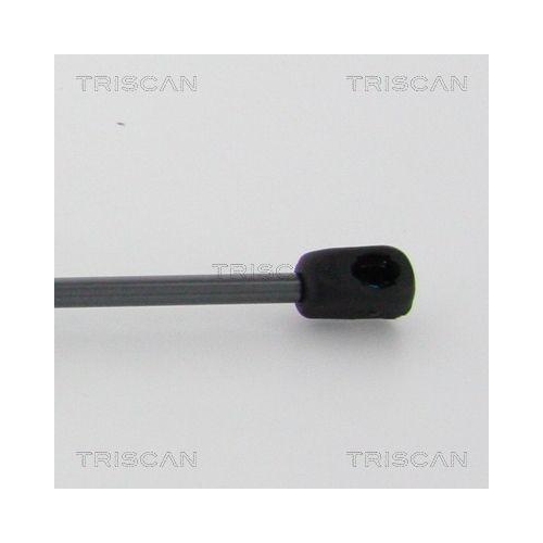 TRISCAN Gasfeder, Motorhaube 8710 24108