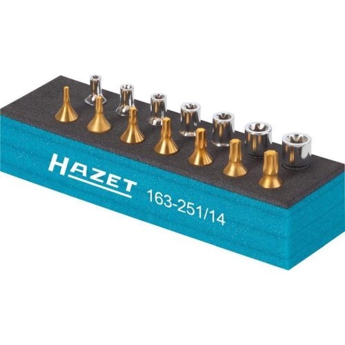 HAZET Werkzeugsatz 163-251/14
