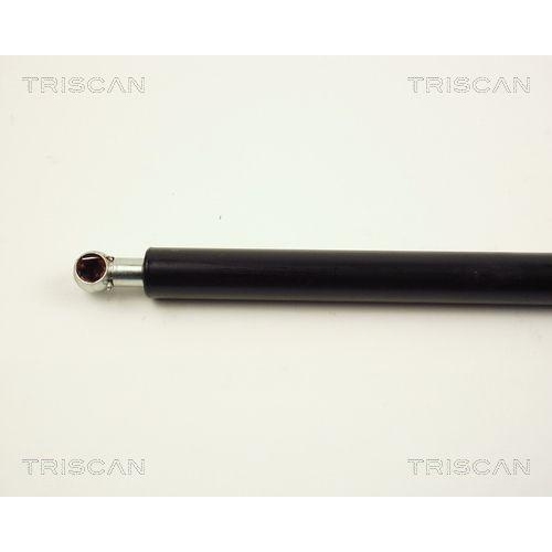 TRISCAN Gasfeder, Koffer-/Laderaum 8710 24209