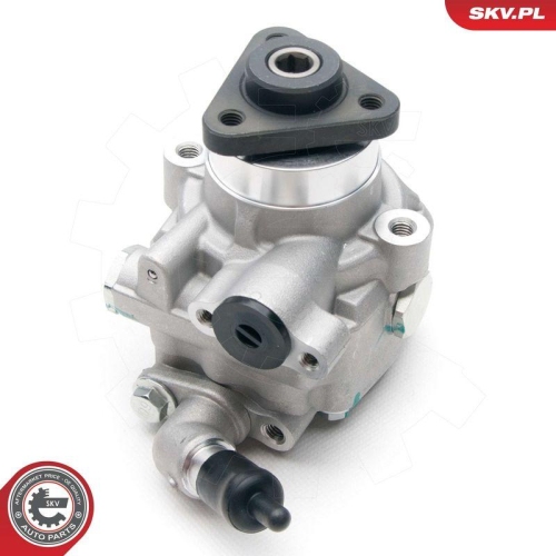 ESEN SKV Hydraulikpumpe, Lenkung 10SKV194
