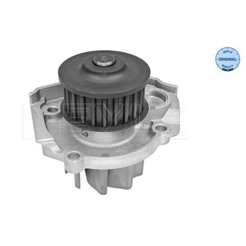 MEYLE Wasserpumpe, Motorkühlung MEYLE-ORIGINAL: True to OE. 213 220 0022