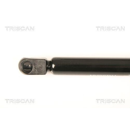 TRISCAN Gasfeder, Koffer-/Laderaum 8710 24237