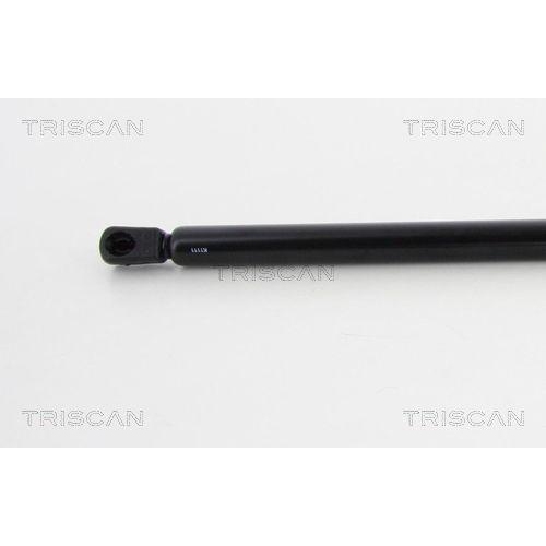 TRISCAN Gasfeder, Koffer-/Laderaum 8710 24241